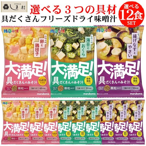 フリーズドライ 味噌汁 顆粒 「 大満足みそ汁 選べる 12食セット 」 なすと野菜 海苔おくら 卵...