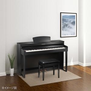 EMUL エミュール CPT300L 電子ピア...の詳細画像1
