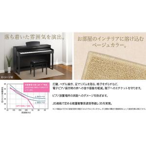 EMUL エミュール CPT300L 電子ピア...の詳細画像3