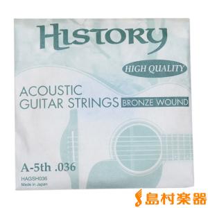 HISTORY ヒストリー HAGSH036 アコースティックギター弦 A-5th