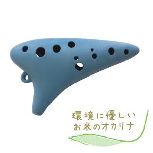 鈴木楽器製作所 21穴複音ハーモニカ 高級ミヤタ MH-21 明治から昭和の