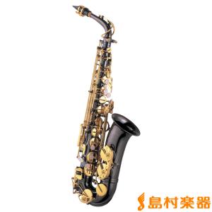 アルトサックスセット J.Michael Amazon | J.Michael AL-780 アルトサックス 初心者 入門 12点