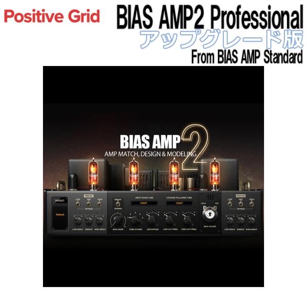 Positive Grid BIAS AMP2 Professional UPG版 From BIA...