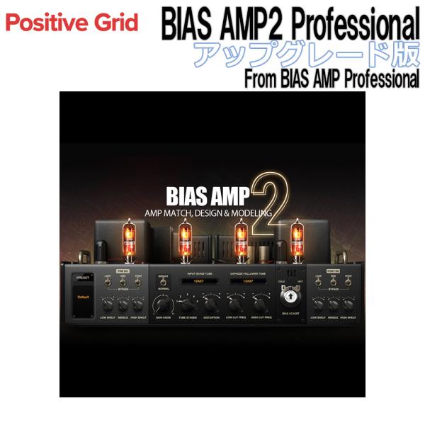 Positive Grid BIAS AMP2 Professional UPG版 From BIA...