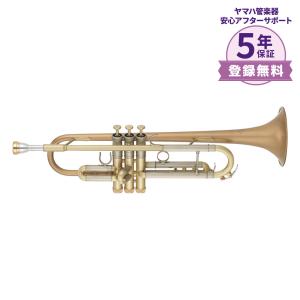 HAMMOND DESIGN(ハモンドデザイン) 6ML トランペット マウスピース 銀