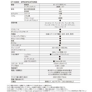 別売ラッピング袋あり CASIO カシオ CT...の詳細画像5