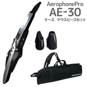 Roland ローランド AE-30 Aerophone Pro ケース 交換用マウスピースセット ウインドシンセ