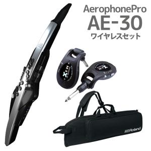 Roland ローランド AE-30 Aerophone Pro ケース ワイヤレスセット ウインドシンセサイザー｜shimamura