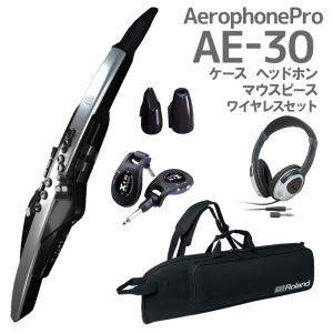 Roland ローランド AE-30 Aerophone Pro ケース ヘッドホン マウスピース ワイヤレス ウインドシンセ