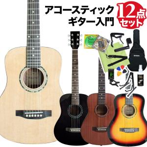 〔数量限定特価〕 Antique Noel アンティークノエル AM-0 アコースティックギター初心者12点セット ミニギター