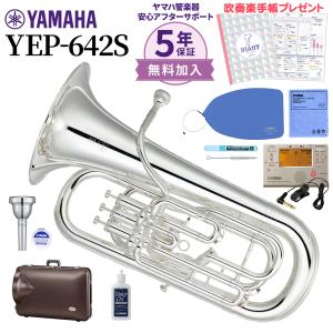 YAMAHA YEP-201+ヤマハお手入れセット+TDM-700+TM-30+譜面台 ...