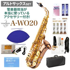 YANAGISAWA ヤナギサワ A-WO20 アルトサックスセット 管楽器担当が本当に使っているアクセサリー付き！