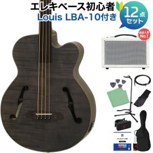 ARIA アリア FEB-F2/FL Stain Black ベース 初心者12点セット 〔島村楽器で一番売れてるベースアンプ付〕 フレットレス｜shimamura