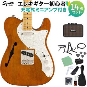 FERNANDES（フェルナンデス） FERNANDES TE-120S HT 社外ソフトケース