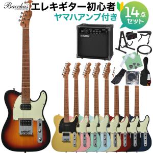 Bacchus（バッカス） 調整済で弾きやすいストラトタイプ・エレキギター