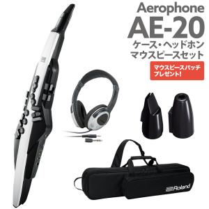 エナ Ena No.10 1/16サイズ 分数バイオリンセット : 島村楽器Yahoo!店