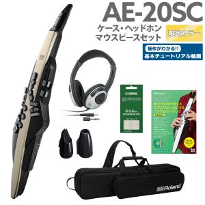 ローランド（Roland） Roland D-20 Synthesizer Keyboard Workstation