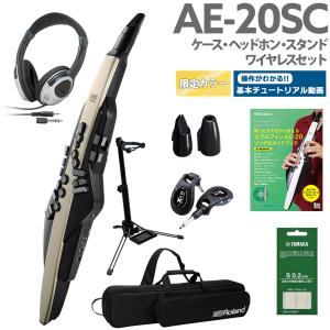 [教則動画付き] Roland ローランド AE-20SC ヘッドホン スタンド ガイドブック ワイヤレス 限定カラー エアロフォン｜島村楽器Yahoo!店