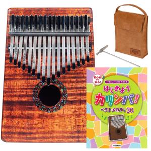 22日までポイントUP】リコーダー バスリコーダー 533B (E) ハード