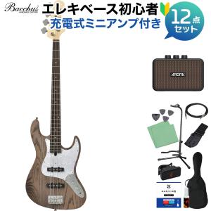BUSKER'S バスカーズ BJB-Standard ベース初心者11点セット
