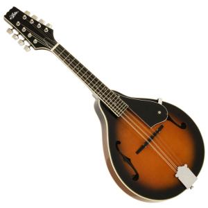Aria アリア フラットマンドリン AM-40 Amazon | Aria フラットマンドリン 初心者 入門 渦巻きボディのF