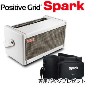 EBS Reidmar 250 ベースアンプヘッド 《アンプ》 : ギタープラネット