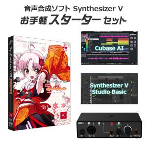 AH-Software ついなちゃん お手軽スターターセット Synthesizer V AI B6064 (D2R)｜shimamura