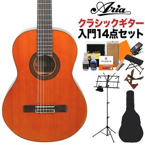 ARIA アリア A-20 クラシックギター初心者14点セット 650mm 杉単板／サペリ｜shimamura