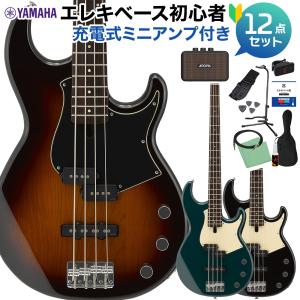 アンペグ AMPEG MC-210E 小型ベースキャビネット　軽量 お取り寄せ商品] Ampeg MICRO-CL Stack HEAD & MC-210E CABINET