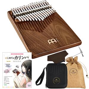 Evah Pirazzi エヴァピラッツィ ビオラ弦 2D・3G・4Cセット