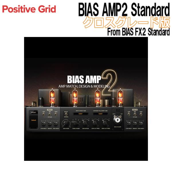 Positive Grid BIAS AMP2 Standard CG版 From BIAS FX2...