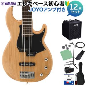 FERNANDES（フェルナンデス） FJB5-DLX PCS 5弦ベース エレキベース