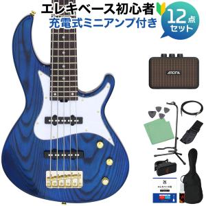 AriaProII アリアプロ2 IGB-STD/5B Metallic Black 5弦エレキベース