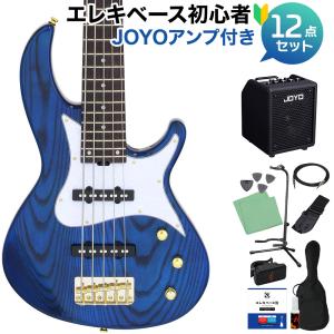 AriaProII アリアプロ2 IGB-STD/5B Metallic Black 5弦エレキベース