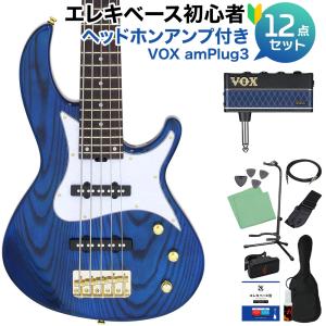 米須三線店 コメスサンシンテン SK252G-C エレキ三線 沖縄三線初心者