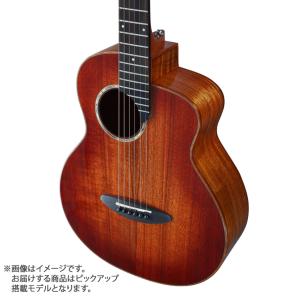aNueNue Bird Guitar Series aNN-MN14E エレガットモデル アヌエヌエ