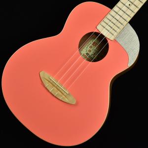 Providence aRB-108M5 NAT (Natural) (5弦ベース)(送料無料)(受注生産