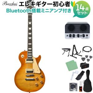 Epiphone Epiphone(エピフォン) WILDKAT 専用 ハードケース