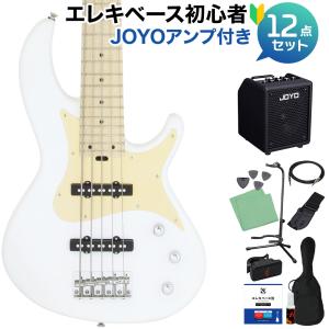 FERNANDES（フェルナンデス） FJB5-DLX PCS 5弦ベース エレキベース