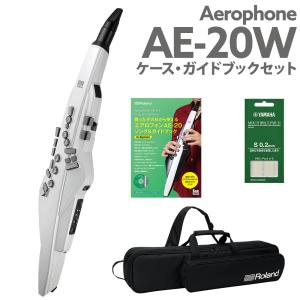 ローランド（Roland） 【最短翌日お届け】ローランド デジタル管楽器