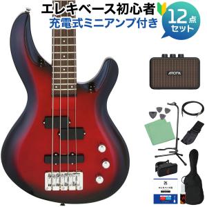 EDWARDS(エドワーズ) E-T-170BD( See Thru Pink)【L'Arc〜en〜Ciel