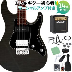 GrassRoots グラスルーツ G-SN-CTM/P See Thru Black ストラト