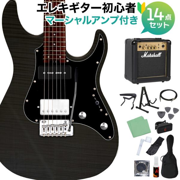 GrassRoots グラスルーツ G-SN-CTM/P See Thru Black エレキギター...