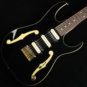 Ibanez（アイバニーズ） FRH10N IBF エレガットギター 限定生産モデル