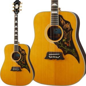 Epiphone（エピフォン） アコースティックギター Epiphone J-200EC