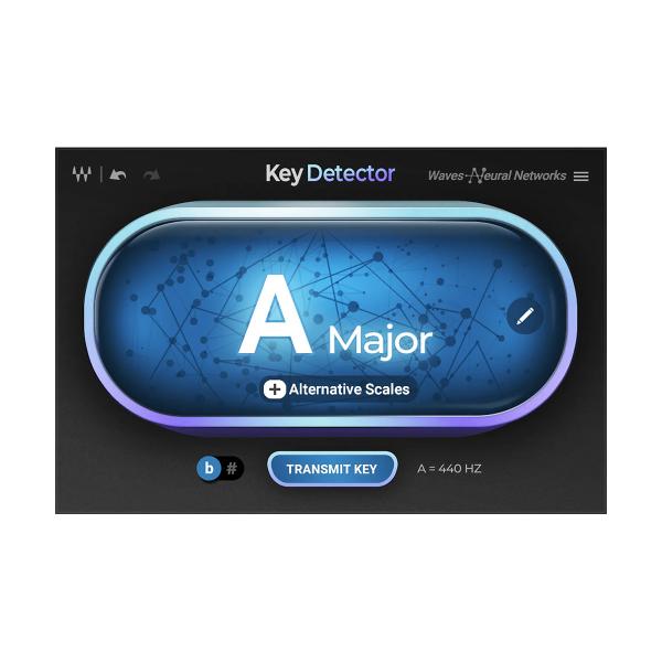 WAVES ウェーブス Key Detector  メール納品 代引き不可