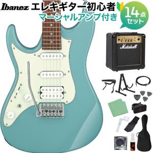Paul Reed Smith（ポールリードスミス） PRS SE Silver Sky Rosewood