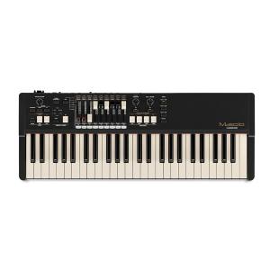 M-Audio フットペダル 電子ピアノ・キーボード対応 SP-2 : HelloDear