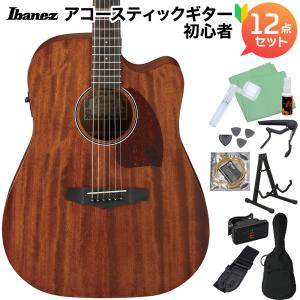 Ibanez アイバニーズ エレアコギター AEG-450MS E ケース付き Ibanez（アイバニーズ） ギグバッグ 2本収納 IGAB2540-BK エレキギター