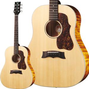 Morris M-025 TS スプルース単板トップ モーリス ドレッドノート